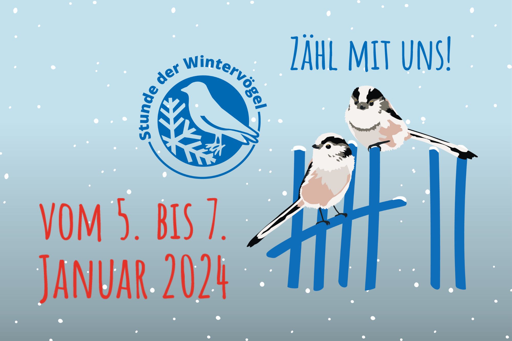 Stunde der Wintervögel 2023 im NMC