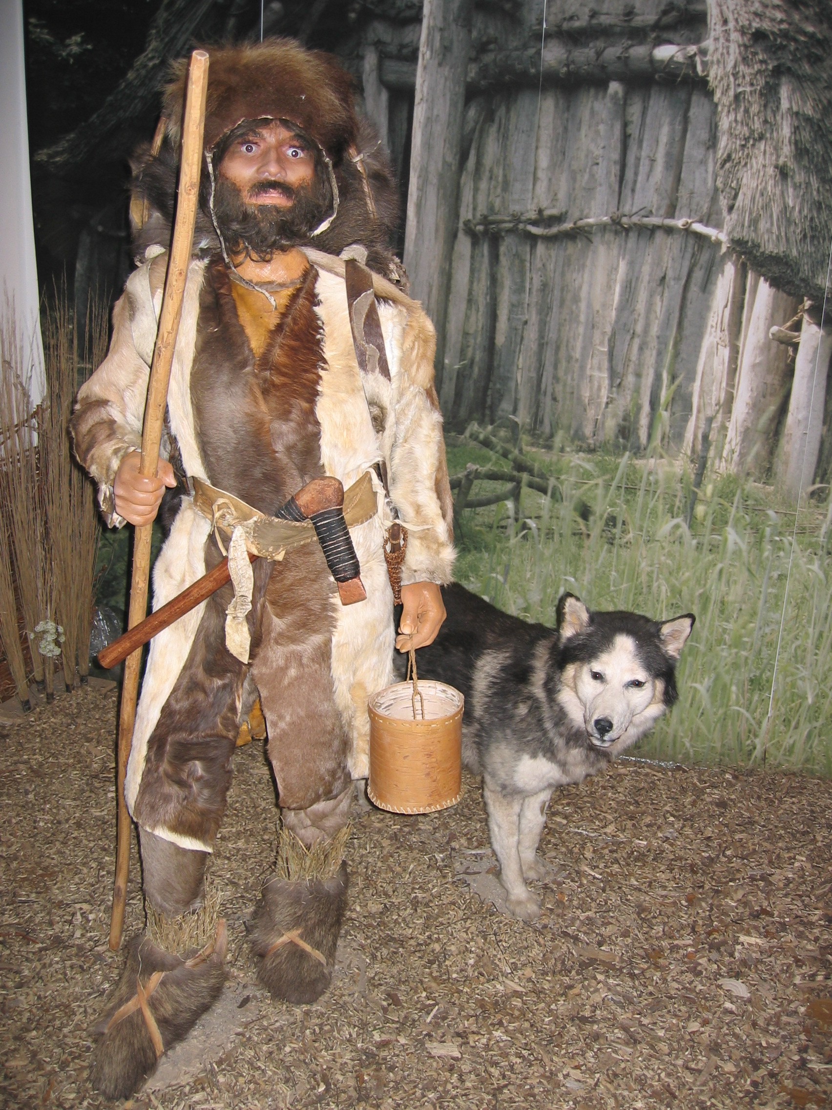 Ötzi, in Fell gekleidet, in Begleitung eines Hundes